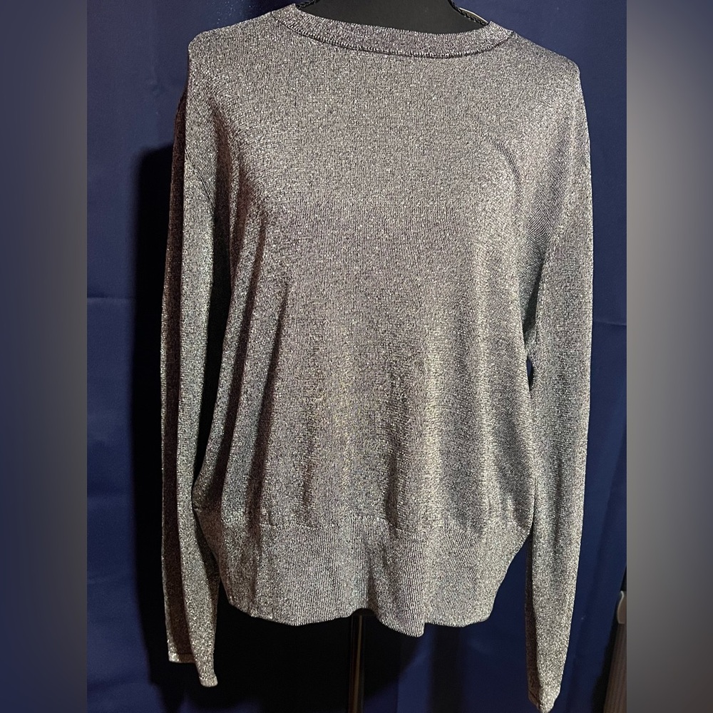 H&M Shimmering Silver Blouse